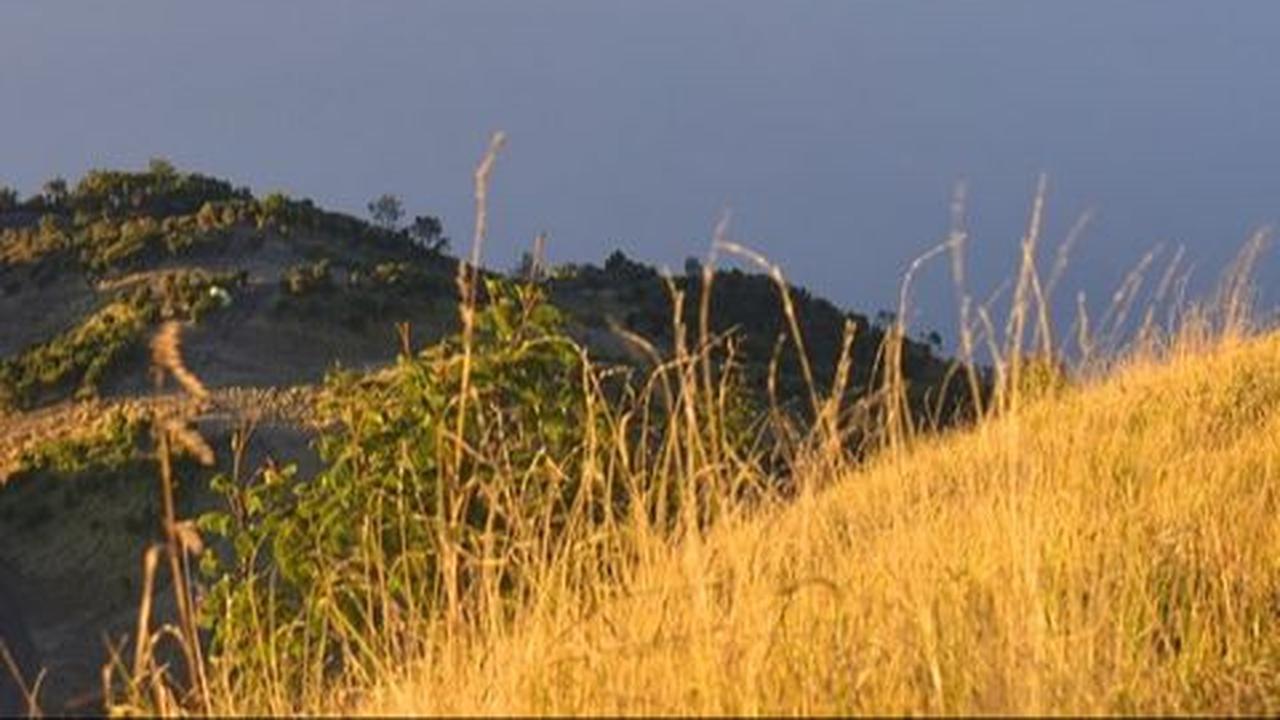 Taman Wisata Alam Posong Temanggung, Sajikan Pemandangan Elok