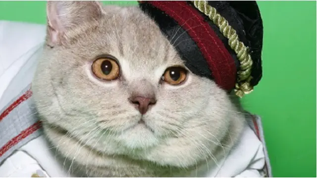 Courtesy ListVerse.com