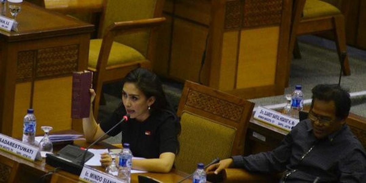 Tugas DPR hanya pengawasan dan anggaran