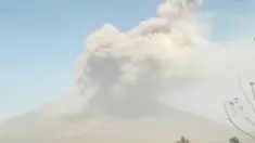 (Liputan 6 TV)