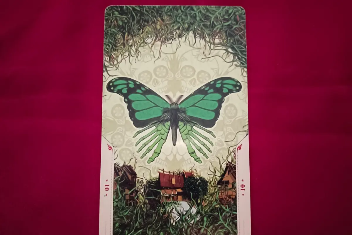 Tarot