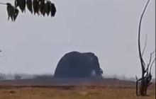 Semburan Lumpur Kembali Menyembur di Oro-oro Kesongo Blora, Tingginya 15 Meter
