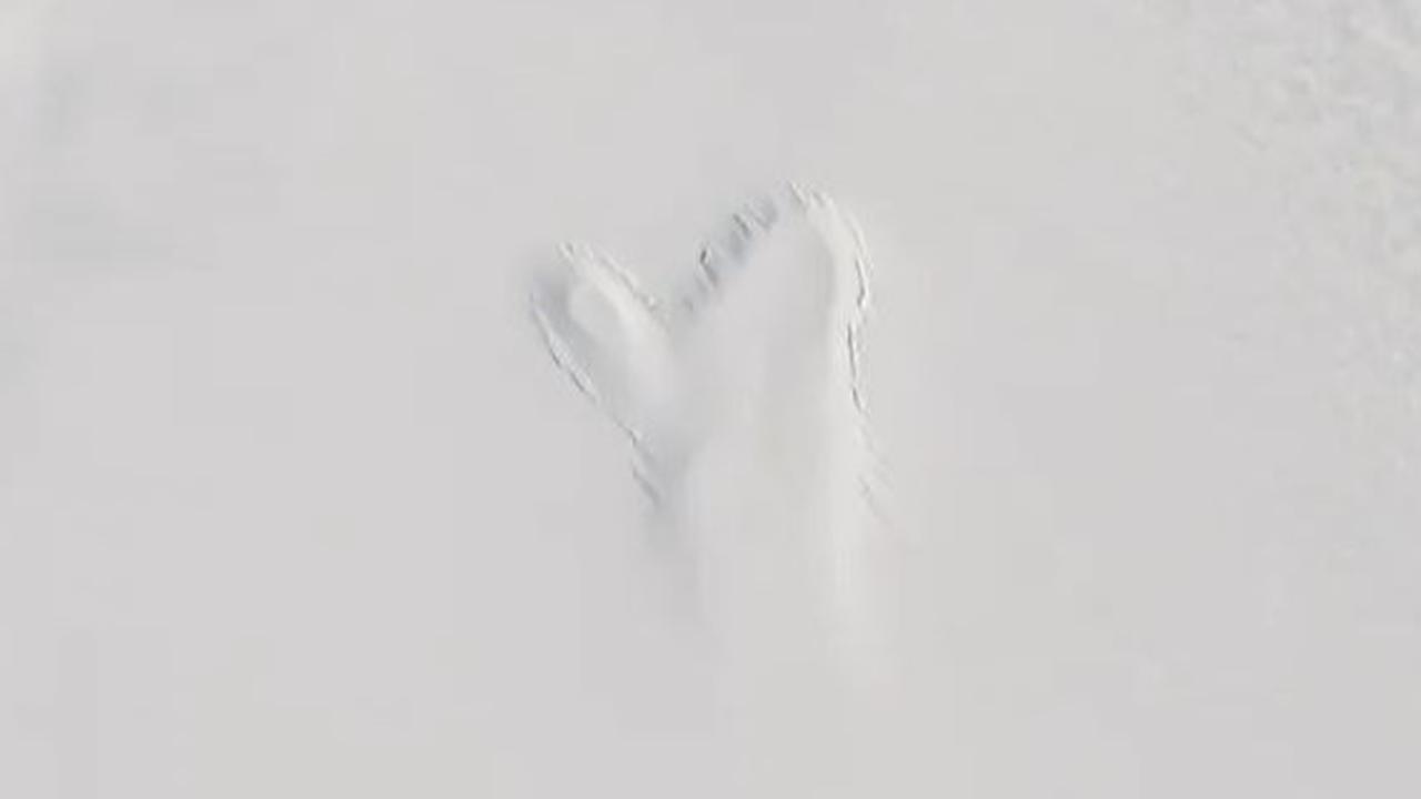 Sosok 'Hantu' Muncul di Permukaan Es Greenland Setelah Danau Bawah Tanah Runtuh, Tingginya Sampai 3200 Meter