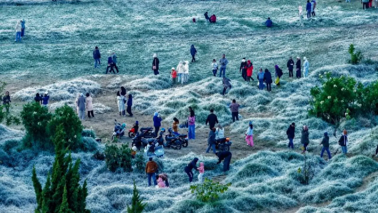Saat Dieng Berselimut Embun Upas Lebih Sering Tahun Ini