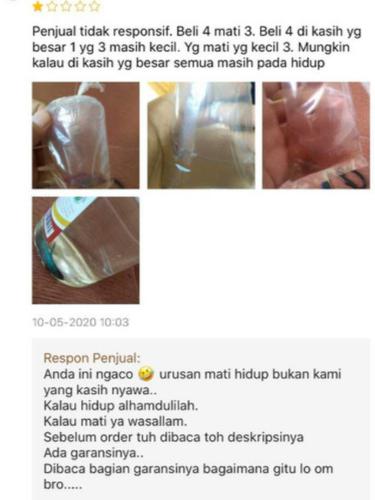 5 Respons Testimoni Pembeli di Online Shop, Lucu tapi Bikin Kesal