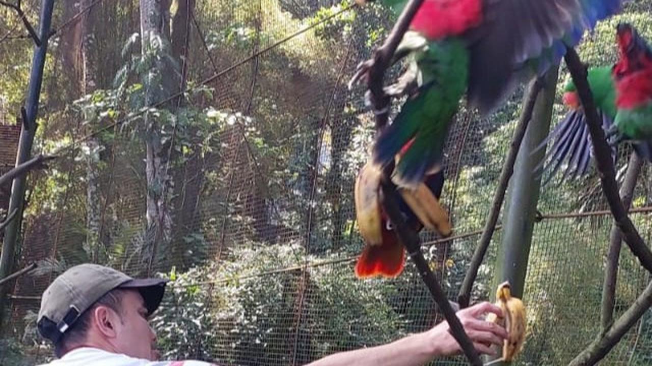 Konflik Belum Usai, Penutupan Bandung Zoo Bikin Nasib Karyawan dan Satwa Tak Menentu