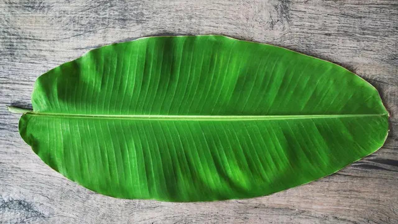Cara Memasak Botok yang Lezat dan Bebas Bau Tengik