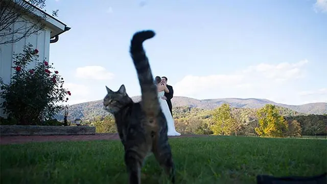 6 Momen Apes saat Foto Prewedding Ini Bikin Calon Pengantin Senyum Tipis