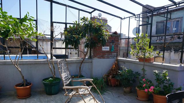 Ilustrasi teras rumah