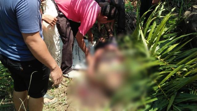 Giliran Serangan Babi Hutan Tewaskan Warga Empat Lawang Sumsel
