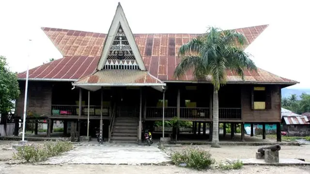 6 Fakta Menarik Mandailing Natal, Habitat Burung Eksotis Niltava Kumbang-padi