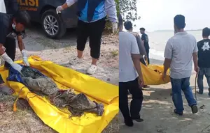 Kronologi Penemuan Mayat Tanpa Kepala di Pantai Lampung Selatan