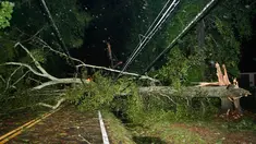 Pohon dan tiang listrik tumbang setelah Badai Hermine bertiup melalui Tallahassee, Florida pada 2 September 2016. Badai Hermine terbentuk di Teluk Meksiko dan menghantam kawasan teluk pantai di Florida dengan topan kategori 1. (REUTERS / Phil Sears)