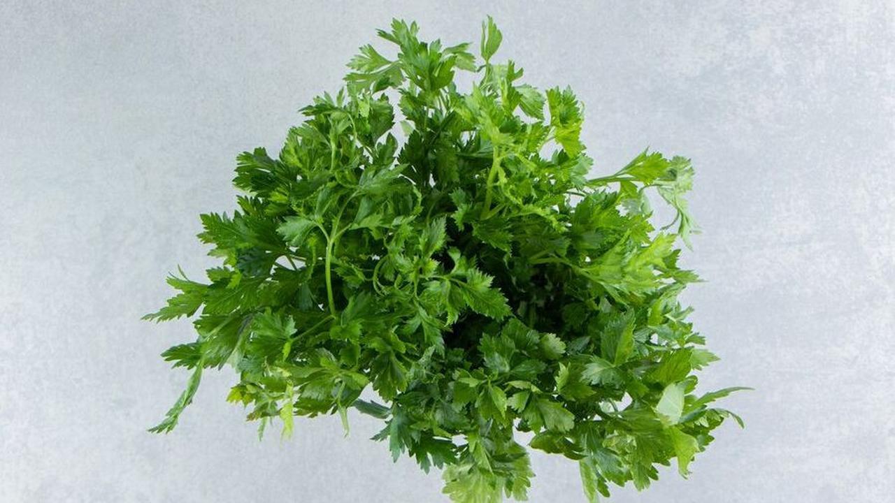 3. Peterseli dan Thyme