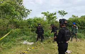 Dua Granat Nanas Bekas Perang Dunia II Dimusnahkan di Jayapura