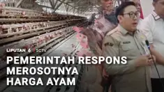 Sementara itu anjloknya harga ayam hidup di tingkat peternak direspons Pemerintah. Kementerian Pertanian bersama Satgas Pangan Polri dan pelaku usaha peternakan akan menaikkan harga jual ayam hidup secara bertahap.