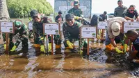 Antisipasi Perubahan Iklim, TNI Operasi Penghijauan Tanam 1.000 Mangrove