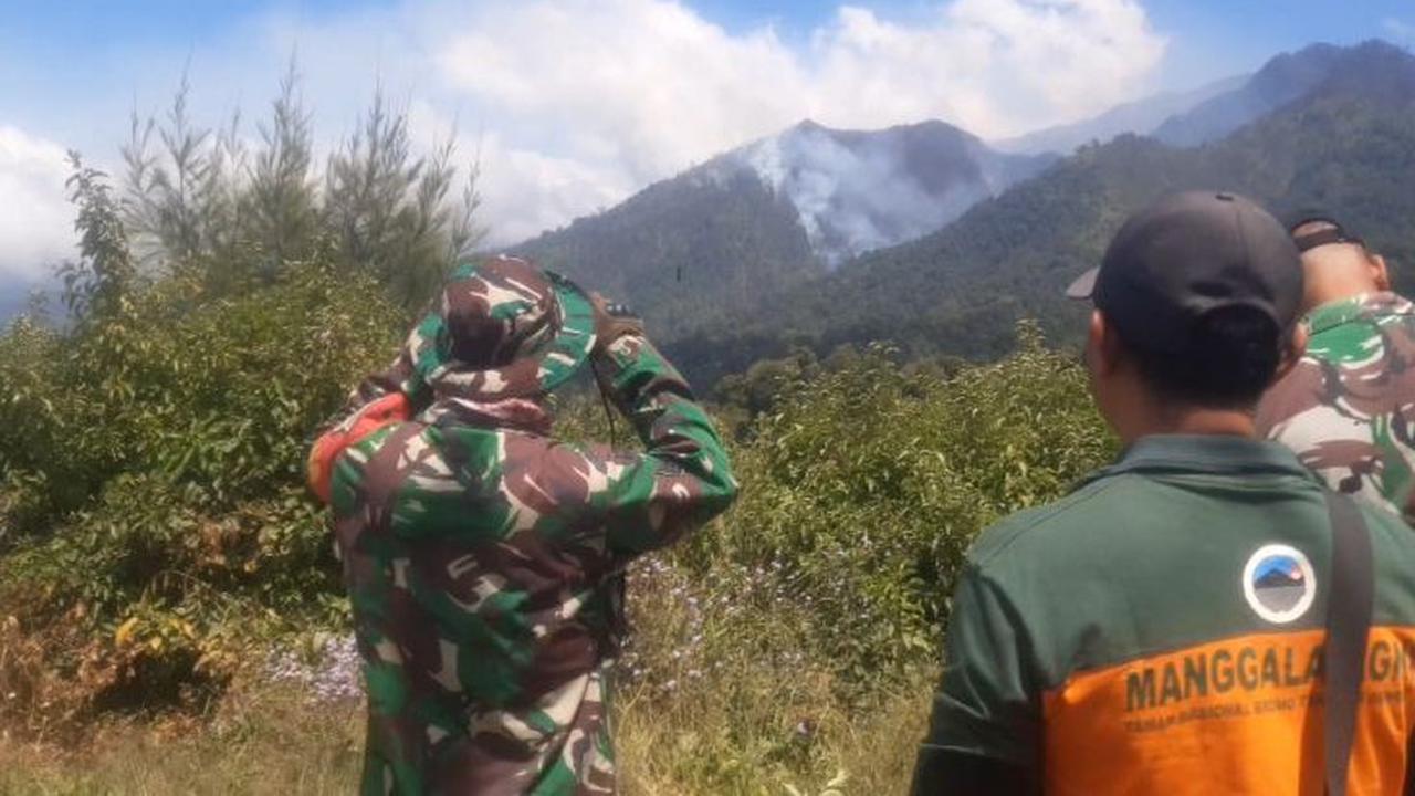Kebakaran Hutan TNBTS Meluas, Titik Api Bertambah