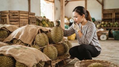 Cara Peram Buah Durian agar Cepat Matang, Manis, dan Dagingnya Lembut