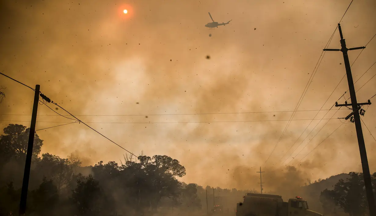  Pemadaman api juga dibantu oleh petugas pemadam kebakaran udara dengan mengerahkan Helikopter untuk membantu memadamkan api di kawasan Rocky Fire, San Francisco, California, Kamis (30/7/2015). Wilayah ini terbakar sejak rabu sore. (REUTERS/Max Whittaker)