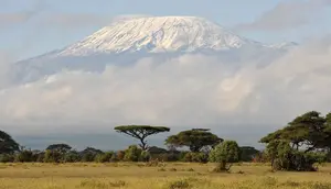 6 Oktober 1889: Hans Meyer, Pendaki Pertama yang Sampai Puncak Tertinggi di Afrika