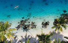 Fakta Unik: Indonesia Jadi Pusat Uji Coba Pertama Global Ocean Innovation Challenge untuk Inovasi Konservasi Laut