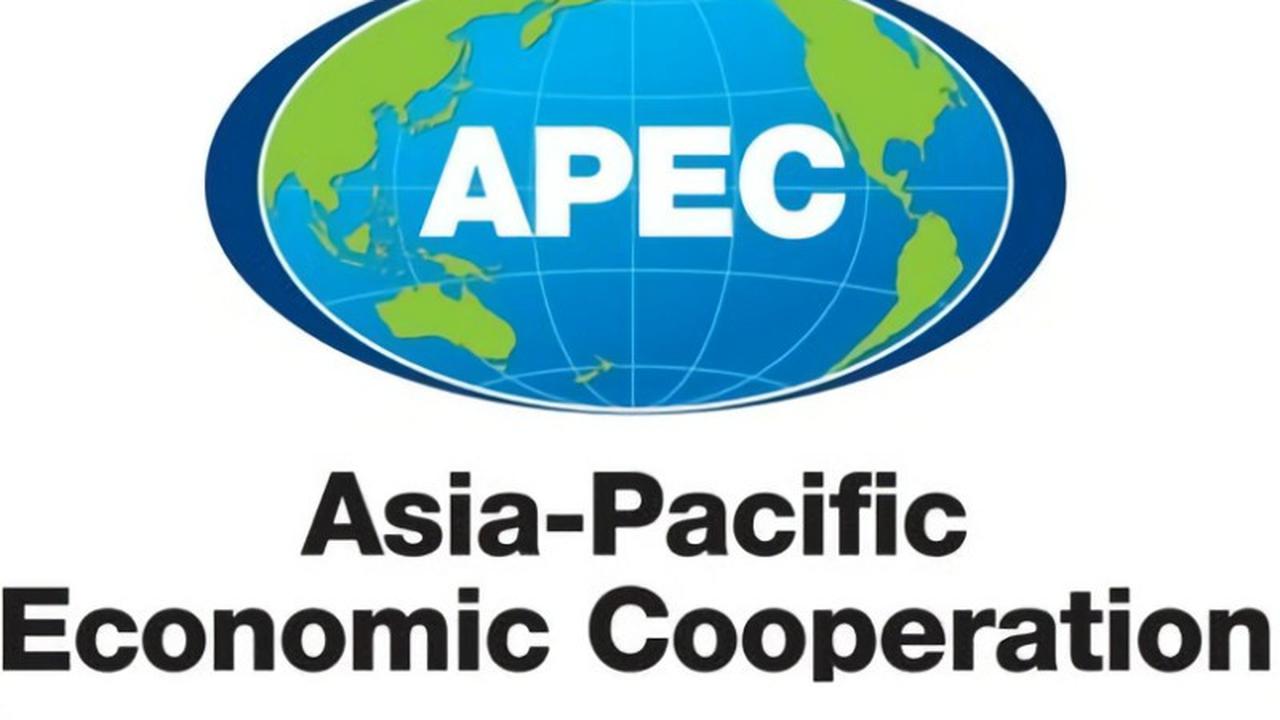 Tahukah Anda? Diplomasi Investasi Indonesia Gencar di APEC IEG2, Dorong Iklim Sehat di Era Digital