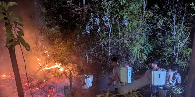 Bakar Rayap di Pohon Mati, Pria di Batam Jadi Tersangka Kebakaran Lahan 10 Hektare