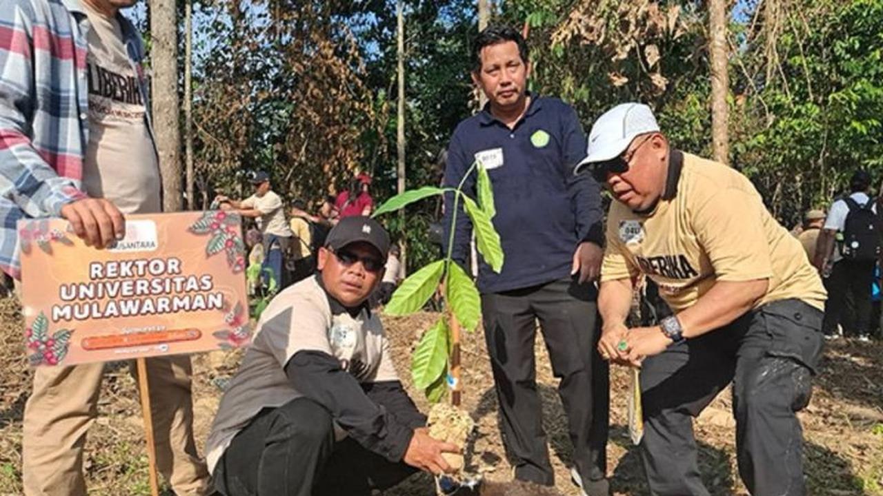 Unmul Pecahkan Rekor MURI Tanam 1.010 Kopi Liberika, Perkuat Visi IKN Hijau Berkelanjutan