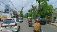 Kondisi pohon di sepanjang jalan Basuki Rahmat dipangkas habis. (Adirin/Liputan6.com)