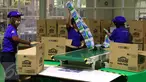 Pekerja tengah mengepak produksi popok bayi di Cikarang, Kamis (21/4).Varian popok yang dibuat merupakan pengembangan dari teknologi Jepang yang menghasilkan popok bayi yang ringan dan nyaman. (Liputan6.com/Angga Yuniar)