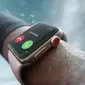 Apple Watch Series 3. (Doc: Apple)