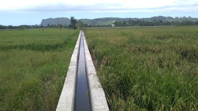 Kementan Beri Bantuan Perbaikan  Jaringan Irigasi  Tersier 