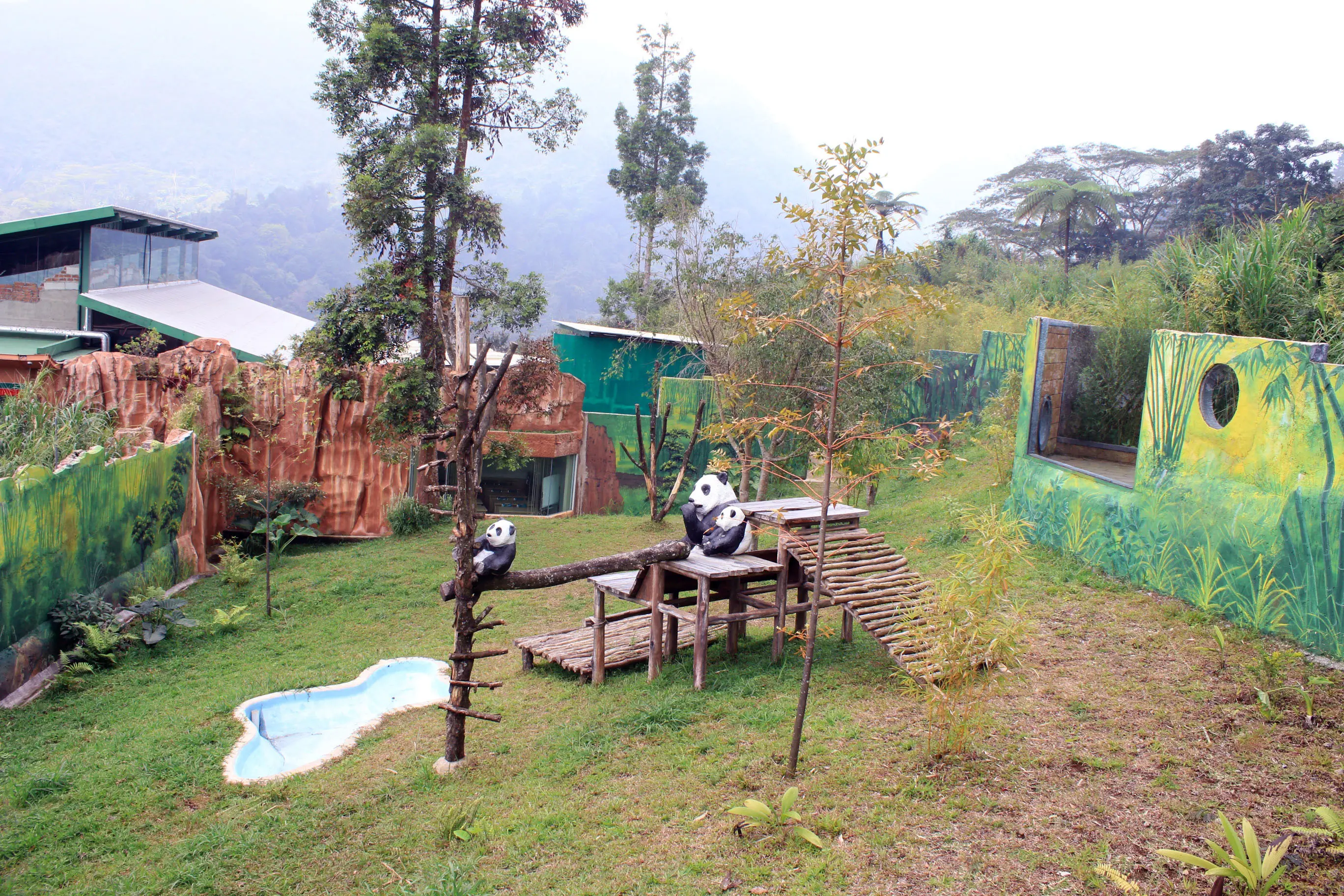 Taman Safari, Bogor juga menyediakan area bermain baru bagi Cai Tao dan Hu Chun (Dokumentasi/Kementerian Lingkungan Hidup dan Kehutanan RI) 