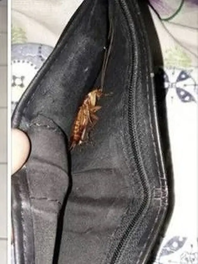6 Isi Dompet saat Tanggal Tua Ini Bikin Meringis