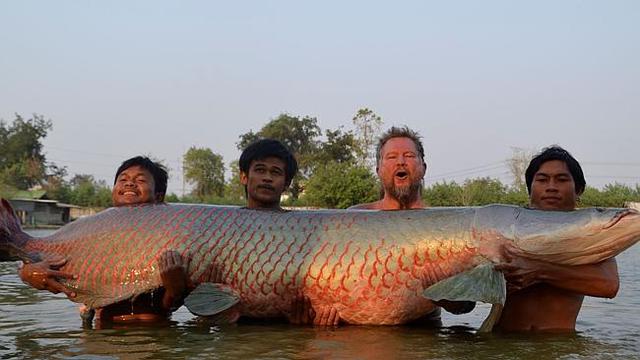 Mematikan hingga Santapan Lezat Ini Fakta Fakta Ikan  