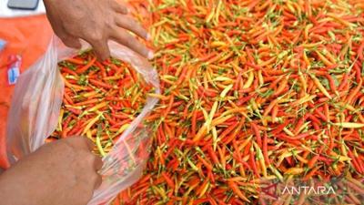 PIHPS Nasional: Harga Cabai Rawit Tembus Rp55.800/kg, Telur Ayam Rp29.650/kg
