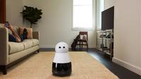 Kuri, robot pelayan besutan Mayfield Robotics yang hadir dengan sejumlah fitur dan kemampuan (sumber: venturebeat.com)