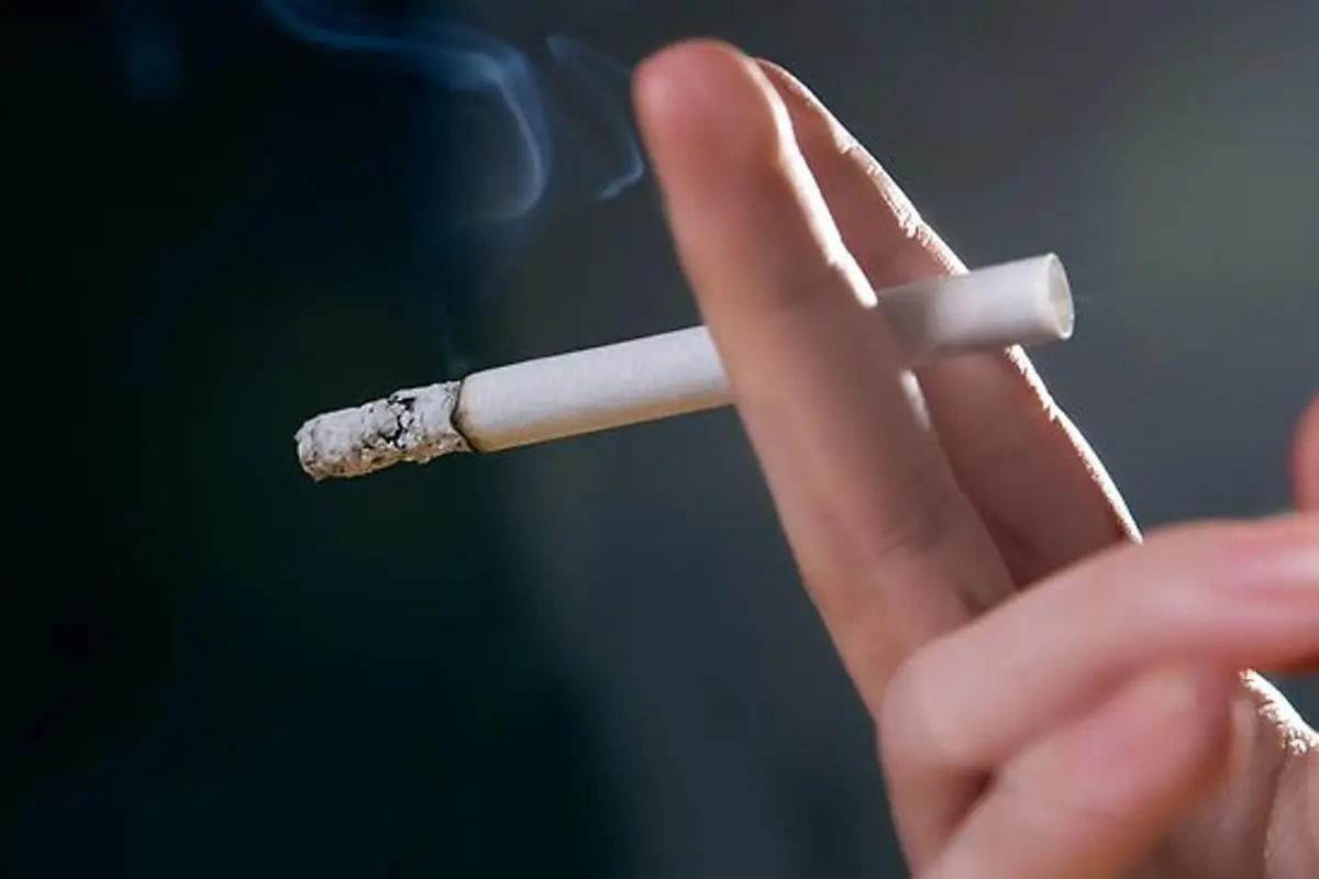 Jangan Tonton Video Ini Kalau Belum Siap Terima Efek Merokok
