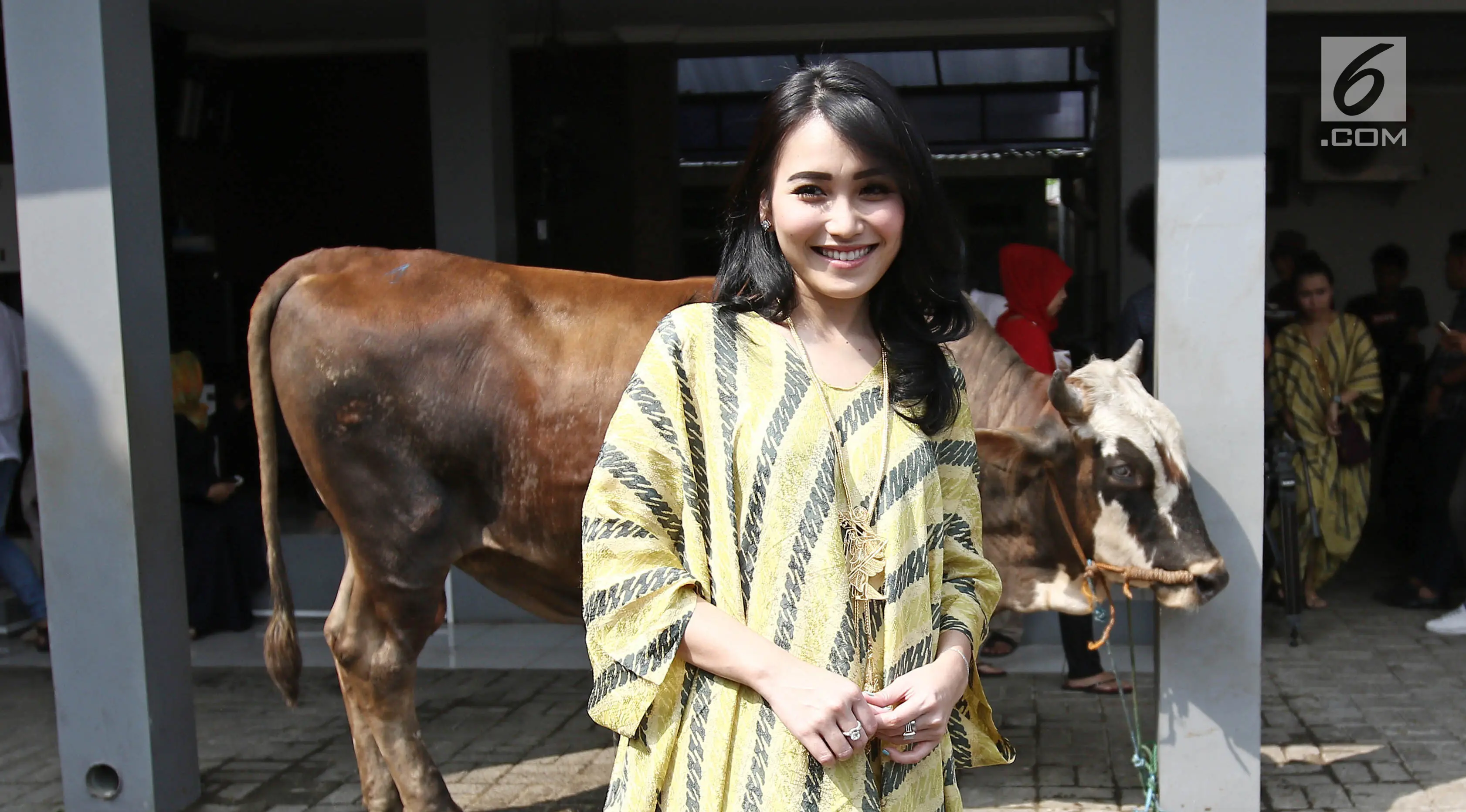 Penyanyi dangdut Ayu Ting Ting berpose di dekat sapi hewan kurbannya sebelum di potong di kediamannya kawasan Depok (1/9). Ayu mengurbankan tiga ekor sapi yang memiliki berat masing-masing seberat 800 kilogram atau 0,8 ton. (Liputan6.com/Herman Zakharia)