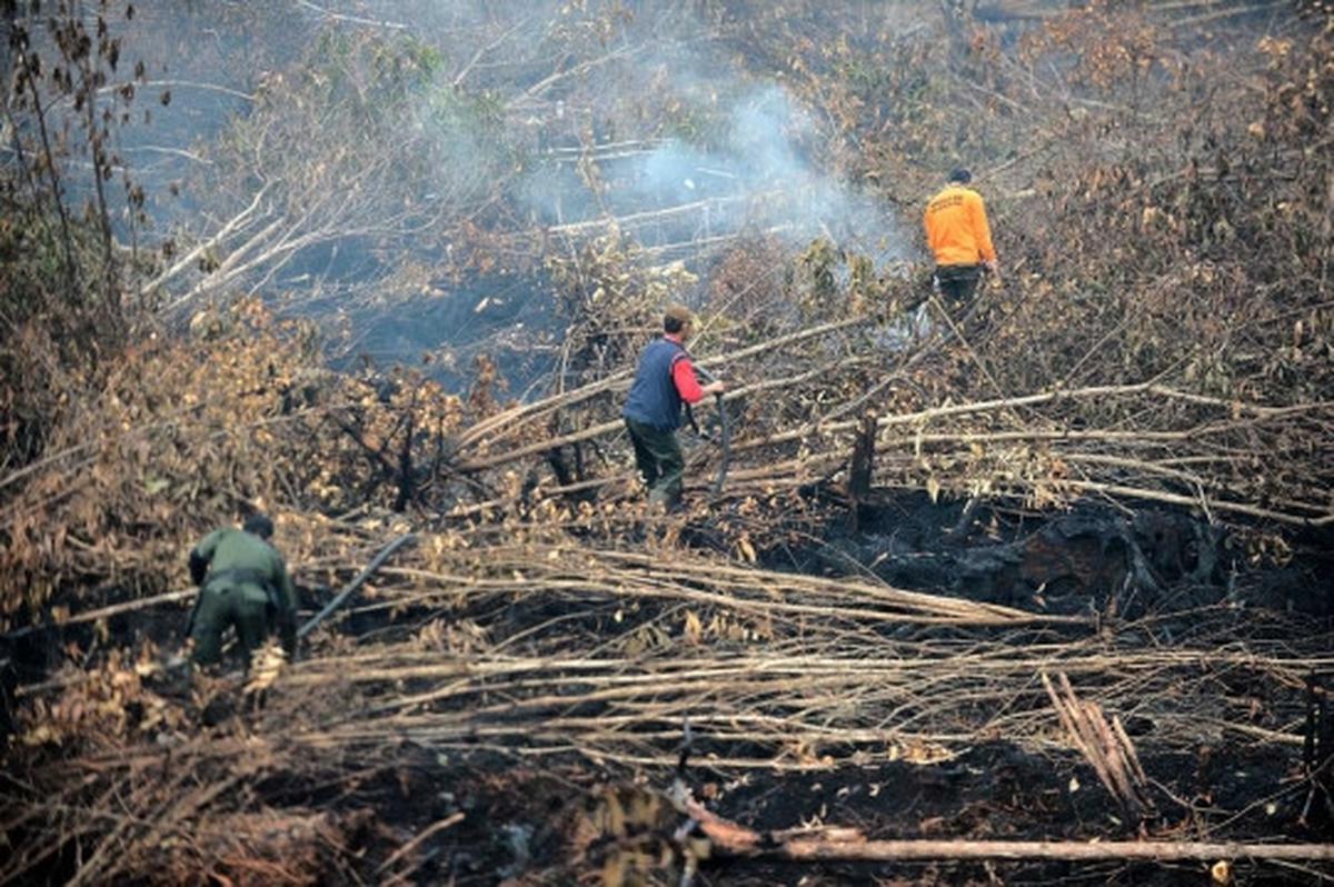 Melihat lebih dekat pemadaman kebakaran hutan Palangkaraya