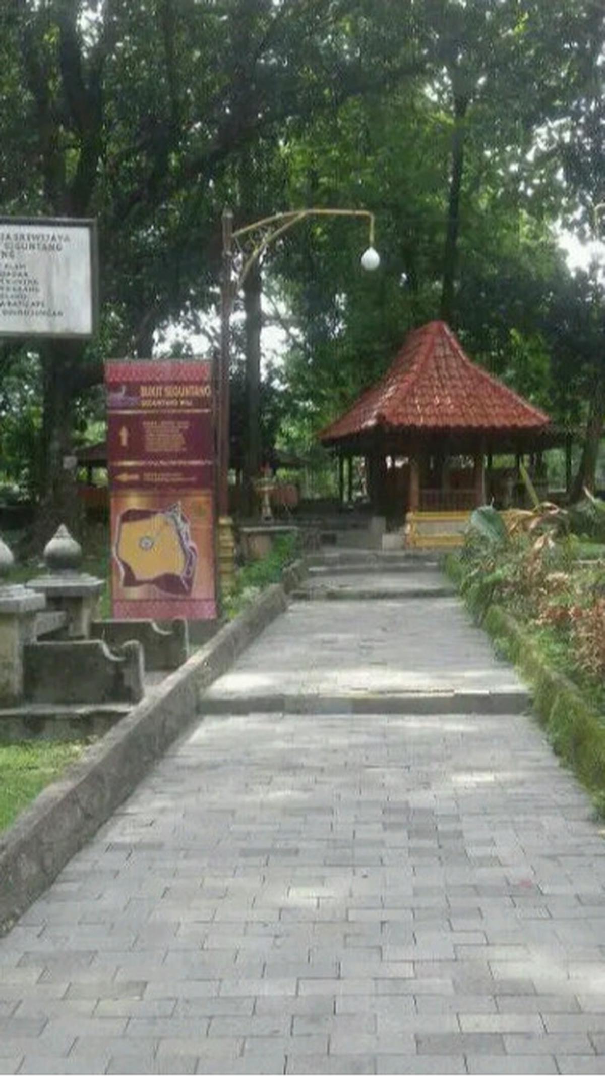 9. Bukit Siguntang<br>
