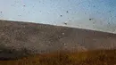 Cairan peptisida yang disemprotkan dari udara menjadi rintik hujan yang menyerang hama belalang di perkebunan Madagaskar (AFP Photo/Rijasolo).