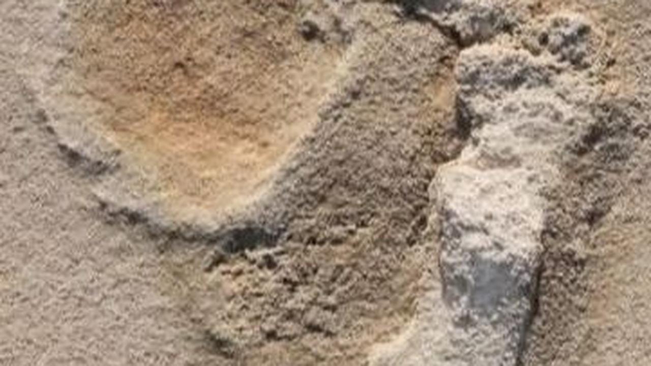 Jejak Kaki 6 Juta Tahun Lalu Jadi Bukti Tertua Makhluk Pra-Manusia Berjalan Tegak Dua Kaki