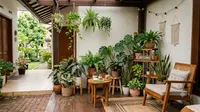 9 Ide Green Corner di Teras Rumah yang Bikin Hunian Terasa Lebih Asri dan Estetik