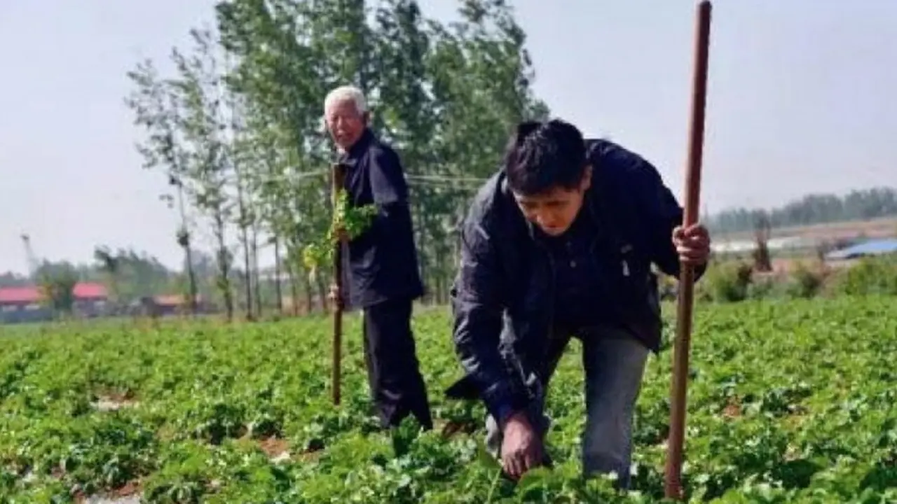 Pelaku Tabrak Lari Jadi Petani Cari Biaya untuk Korban