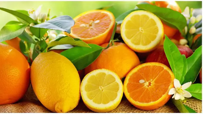 Foto: copyright shutterstock.com