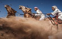 Artistiknya foto-foto pemenang National Geographic Photo Contest