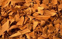 10 Khasiat Ashwagandha, Tanaman Herbal India yang Ampuh Turunkan Kolesterol
