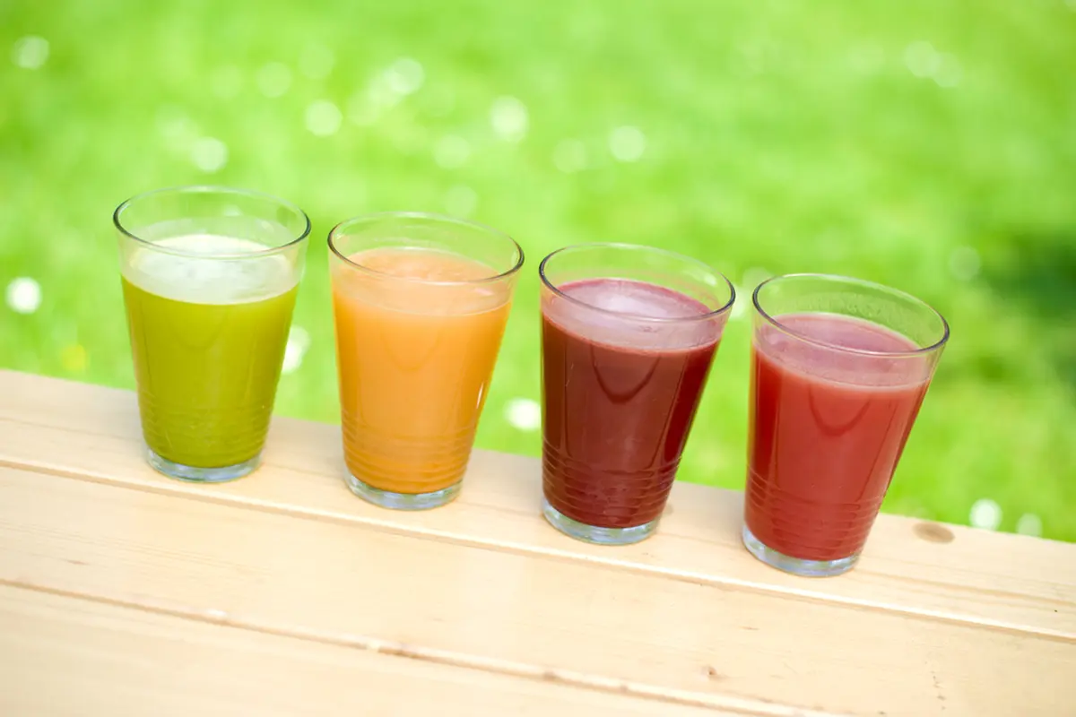 [Bintang] 3 Resep Jus untuk Dapatkan Tubuh Impian Usai Lebaran